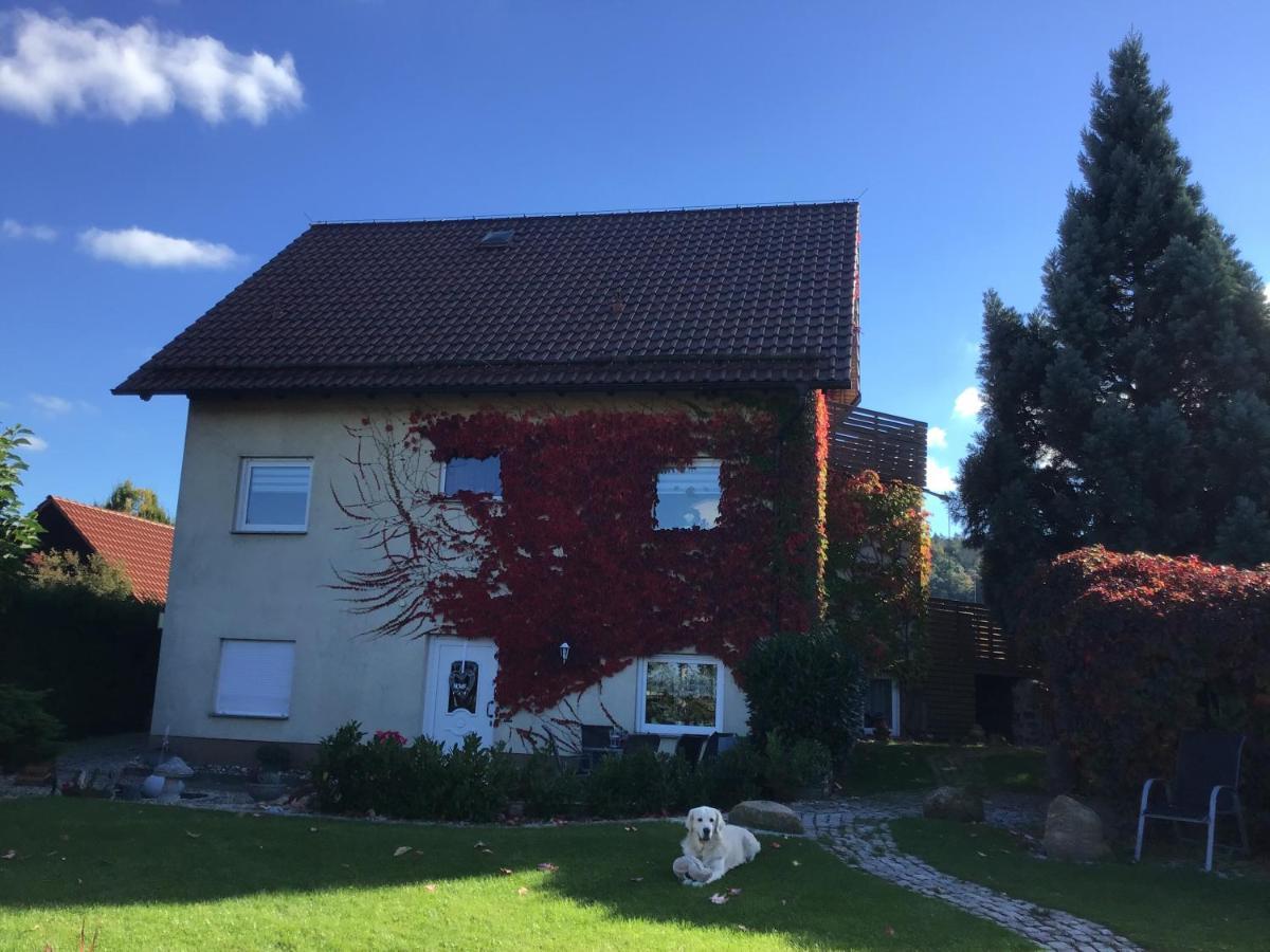 Ferienwohnung Elli Gernrode  Экстерьер фото